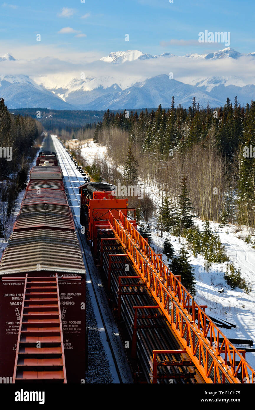 Two freight trains traveling toward the snow-capped rockies of Alberta Canada Stock Photo