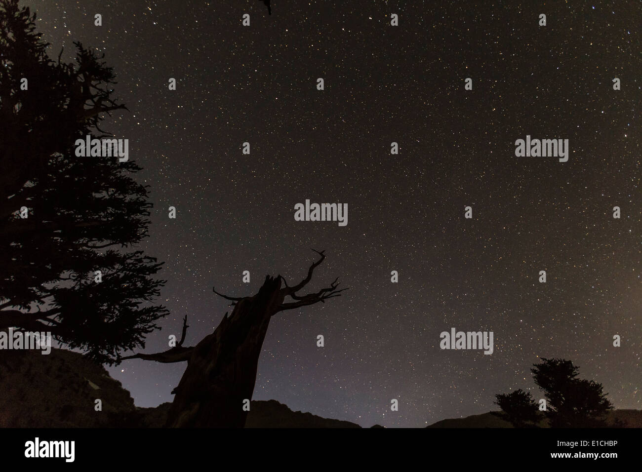 Star filled night in the Sierra Nevada mountains in California. Stock Photo