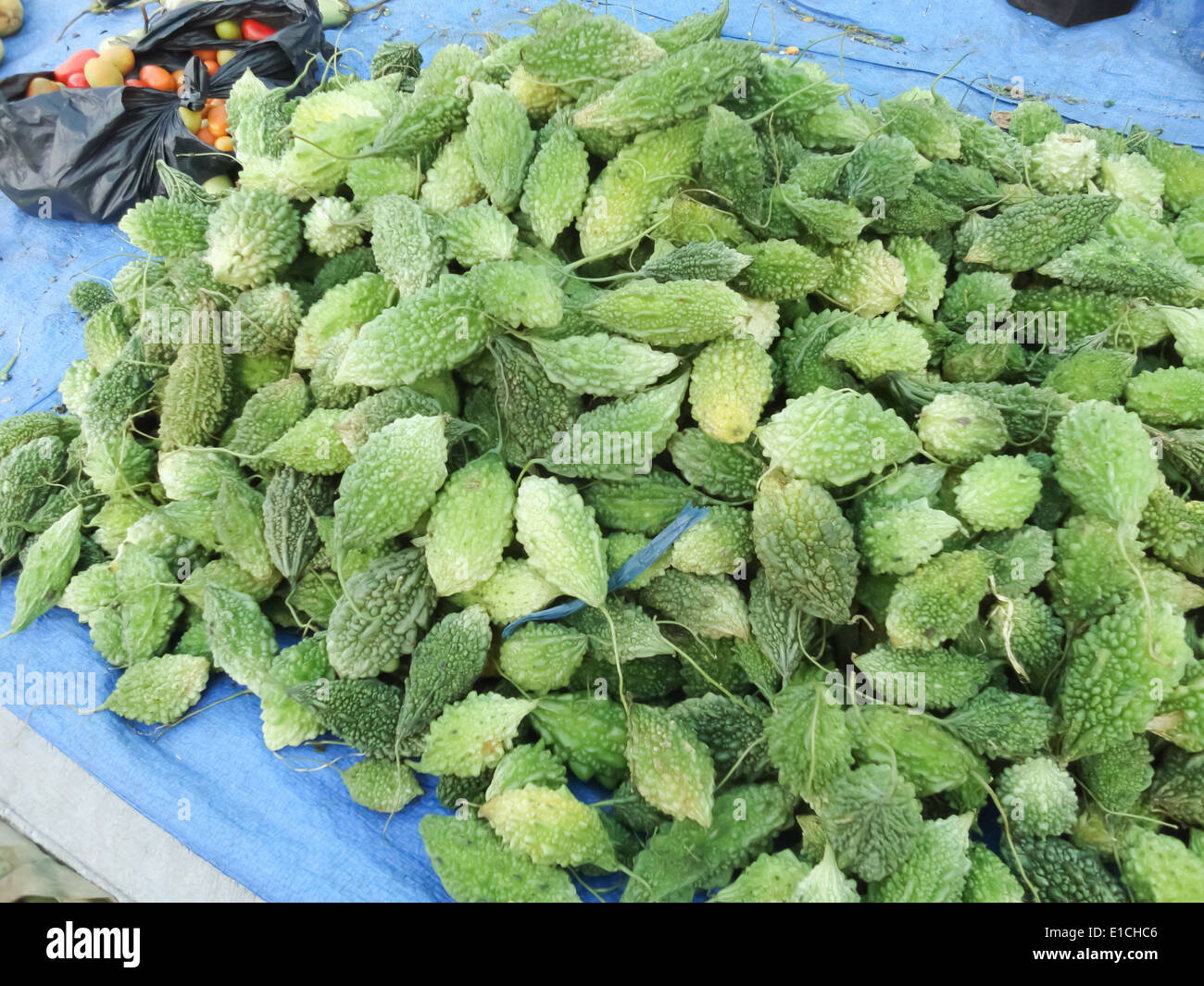 Wild gourd hires stock photography and images Alamy