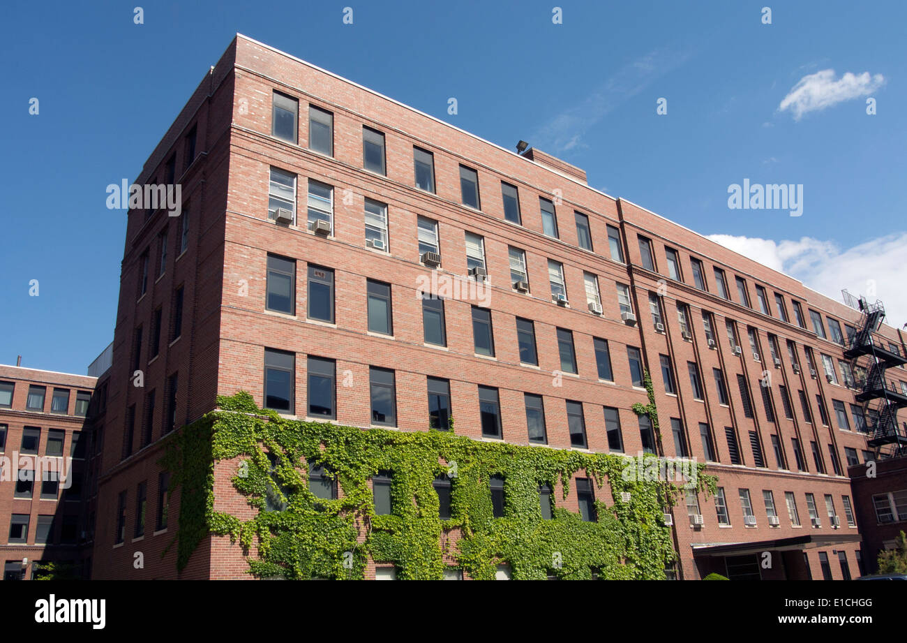 Strong Memorial Hospital, Rochester NY Stock Photo Alamy