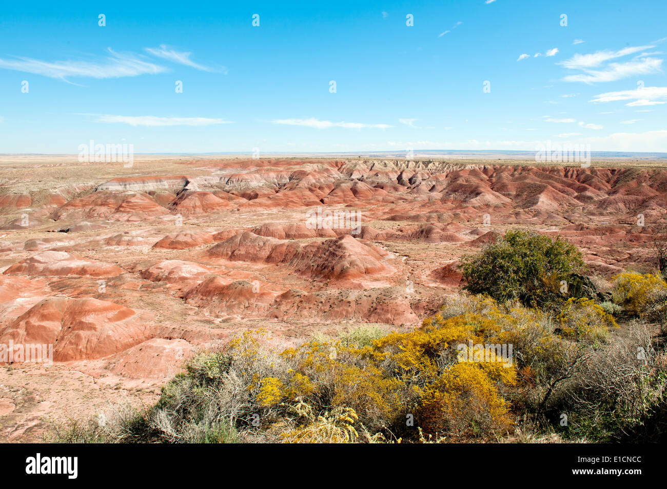 Painted Desert badlands as seen from the rim at Tawa Point Painted desert USA America Arizona  State Stunning Awesome Stock Photo