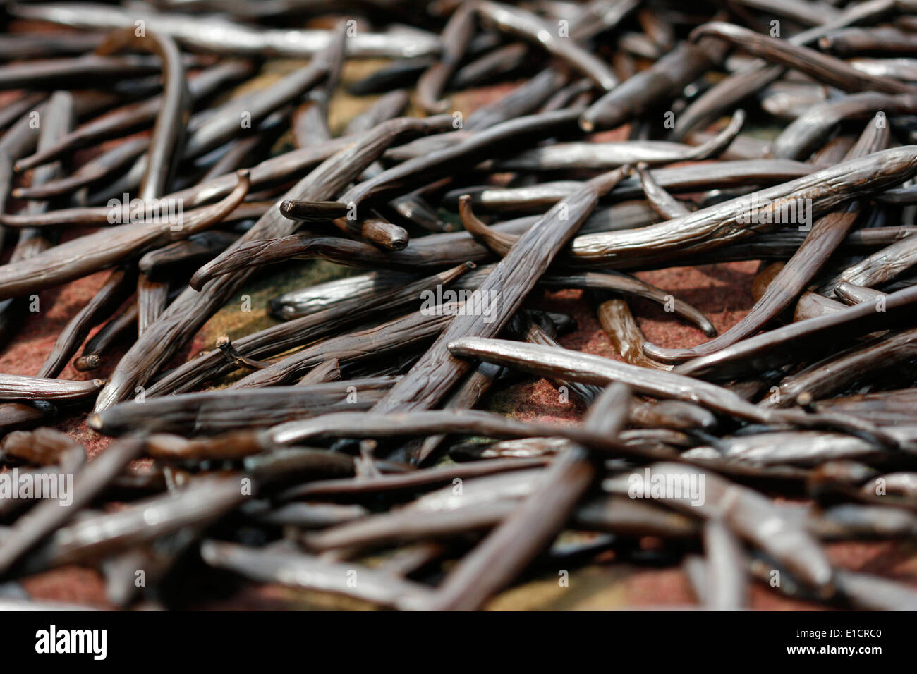 Vanilla farming hires stock photography and images Alamy