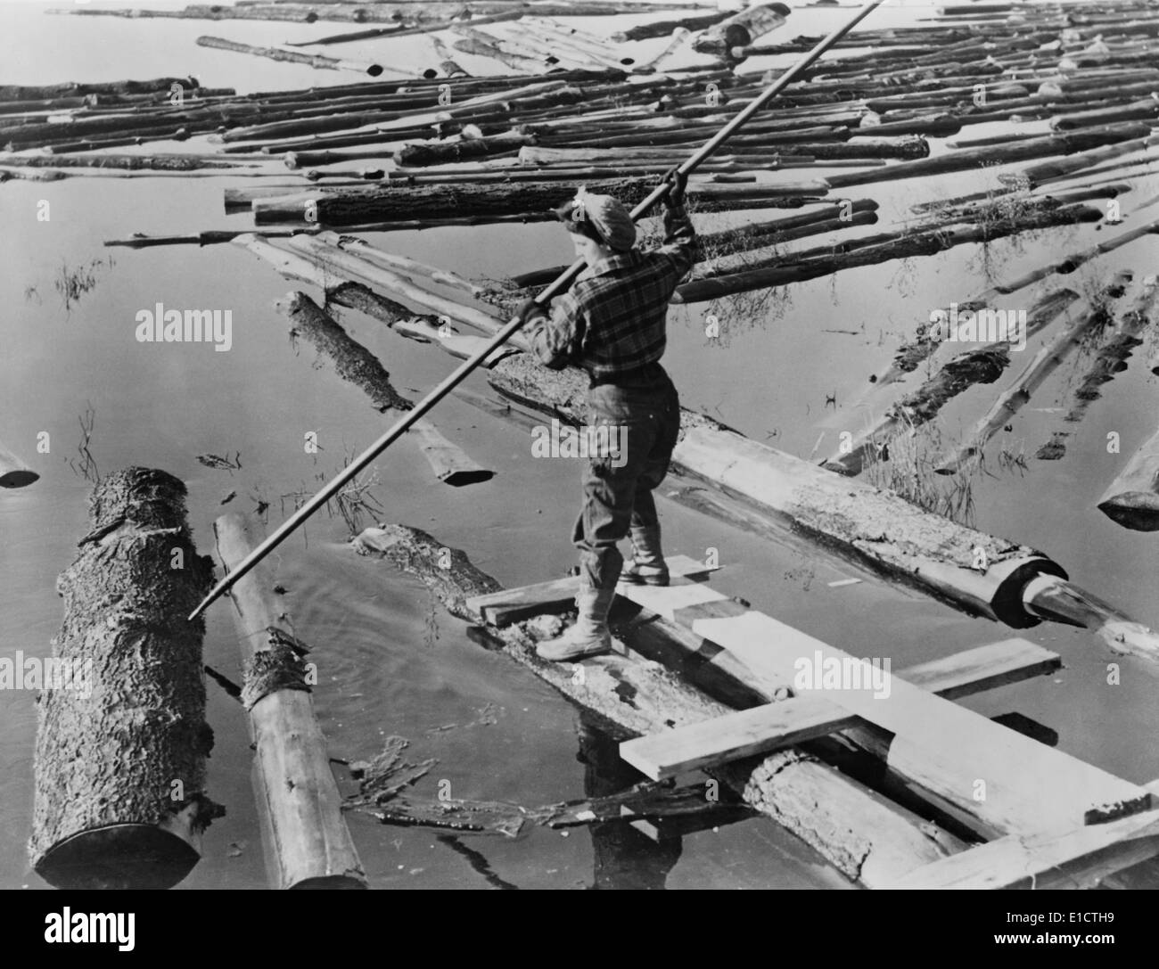 Lumberjill hires stock photography and images Alamy