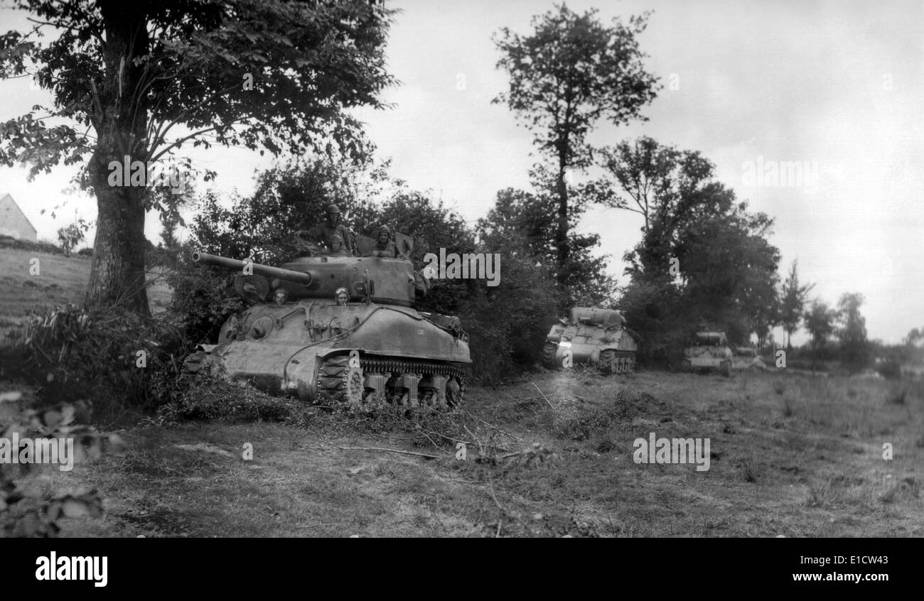 Four U.S. Sherman tanks hiding in a Norman Hedgerow during the Battle of the Falaise Pocket. August 3-7, 1944. Normandy, Stock Photo