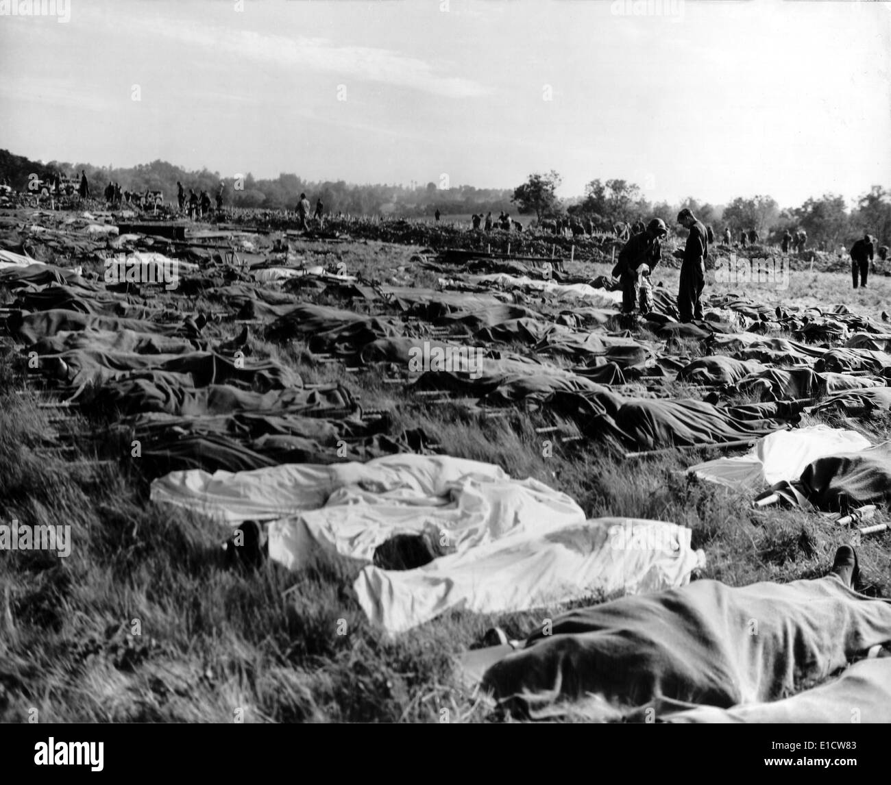 Hundreds of dead soldiers in stretchers covered with a blankets after D-Day. Killed during Normandy landings, they lie in a Stock Photo