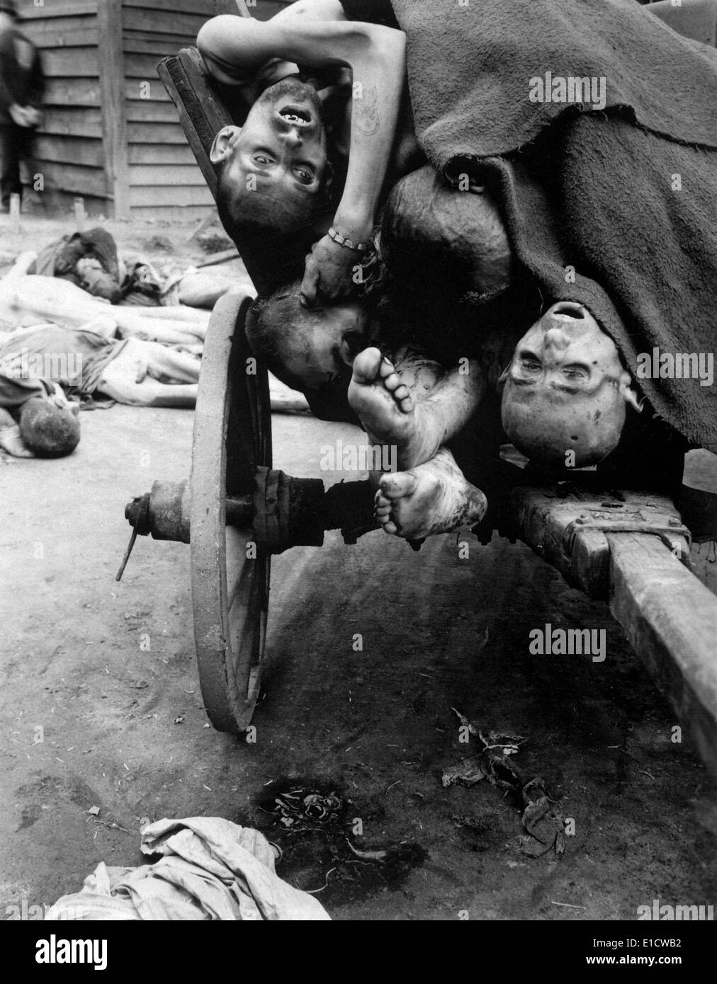 Some of the dead slave laborers at the Mauthausen-Gusen concentration camp. Men were worked in nearby stone quarries until too Stock Photo