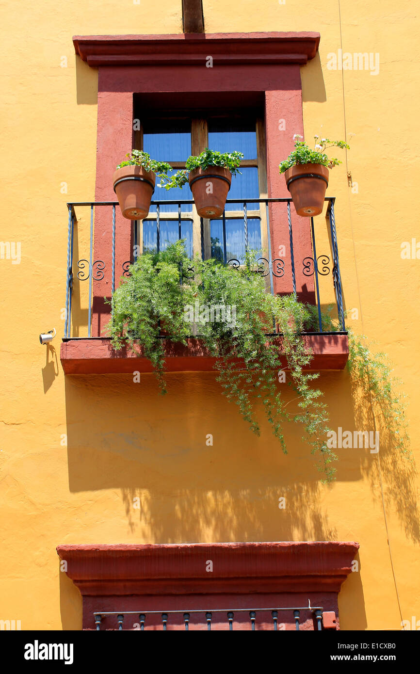 Red window and balcony with plant pots against a yellow wall in San Miguel de Allende, Guanajuato, Mexico Stock Photo