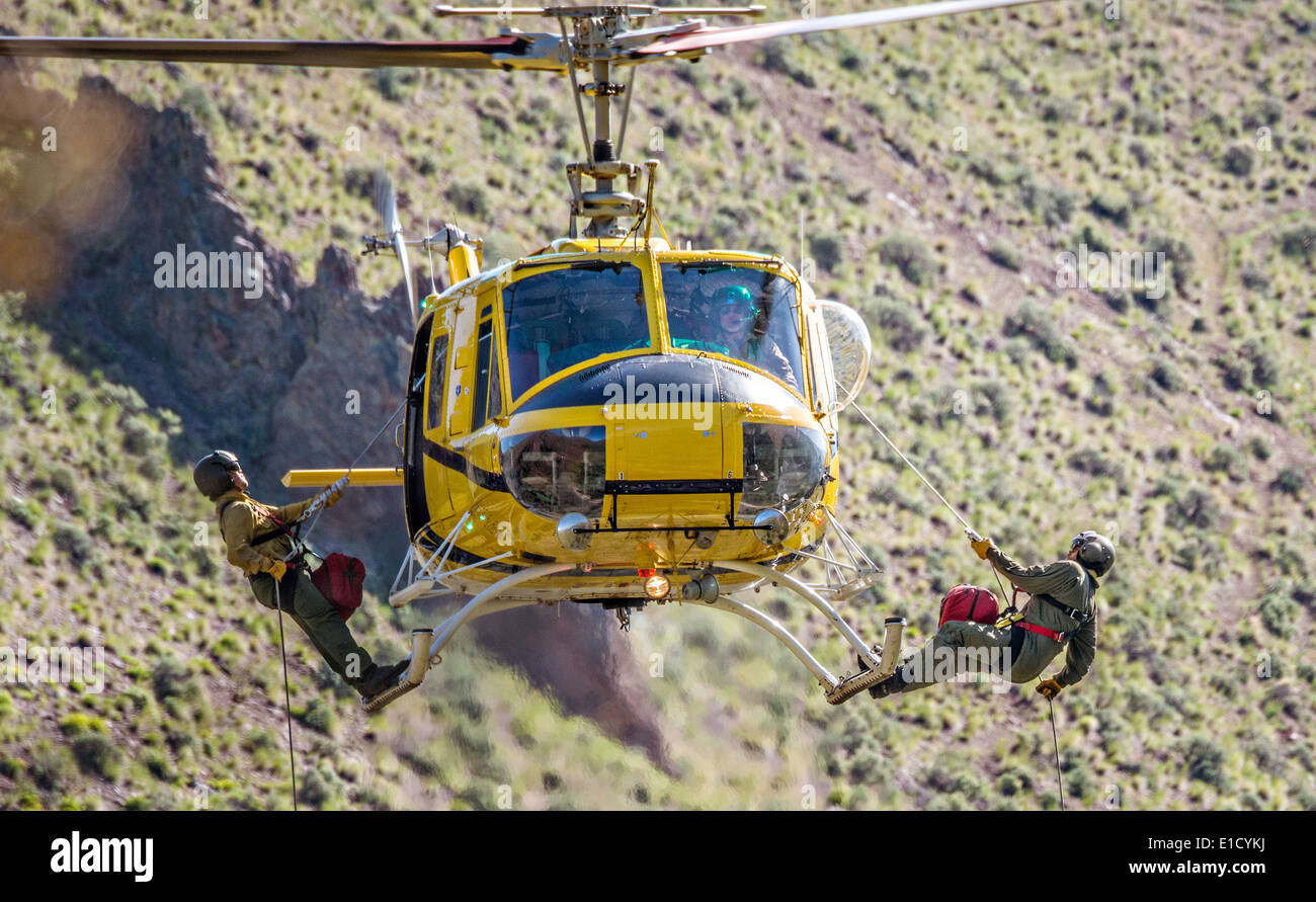 USDA Forest Service National Helicopter Rappel firefighters descend from a Bell 205A-1 helicopter during annual certification training May 15, 2014 in Salmon, Idaho. Stock Photo