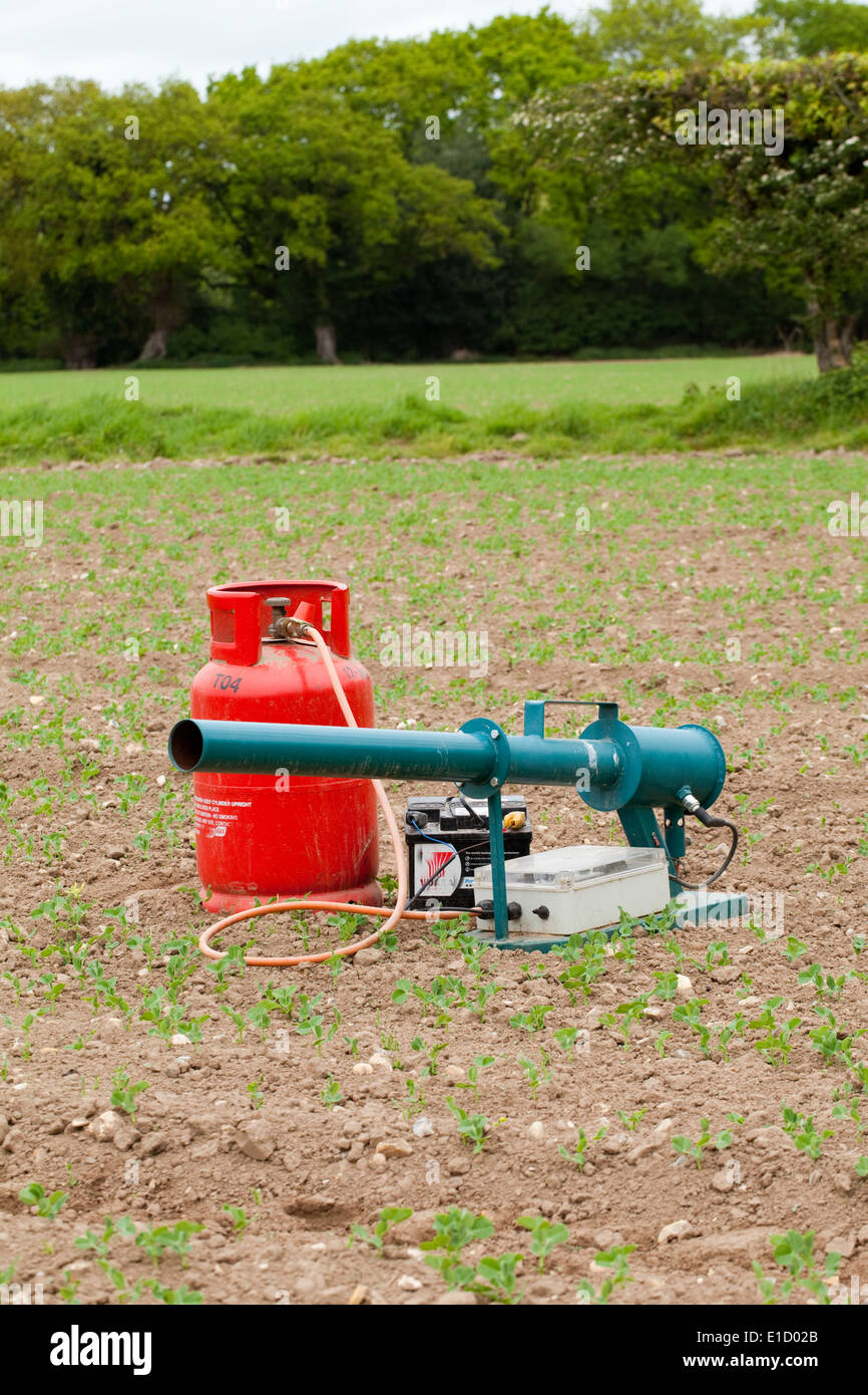 Bird Scarer. Gas Gun; Battery time clock operated device used to help reduce depredations by pest species of birds on crops. Stock Photo