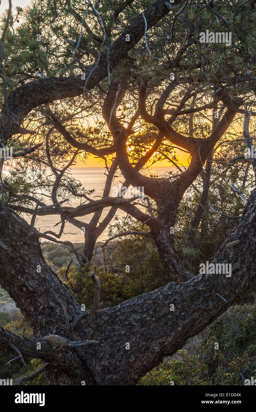 Sunset over Pacific Ocean at Torrey Pines State Park, La Jolla California Stock Photo