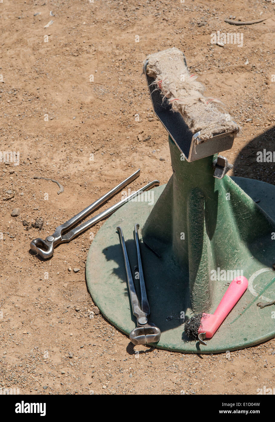 Farrier foot stand and trimming tools Stock Photo