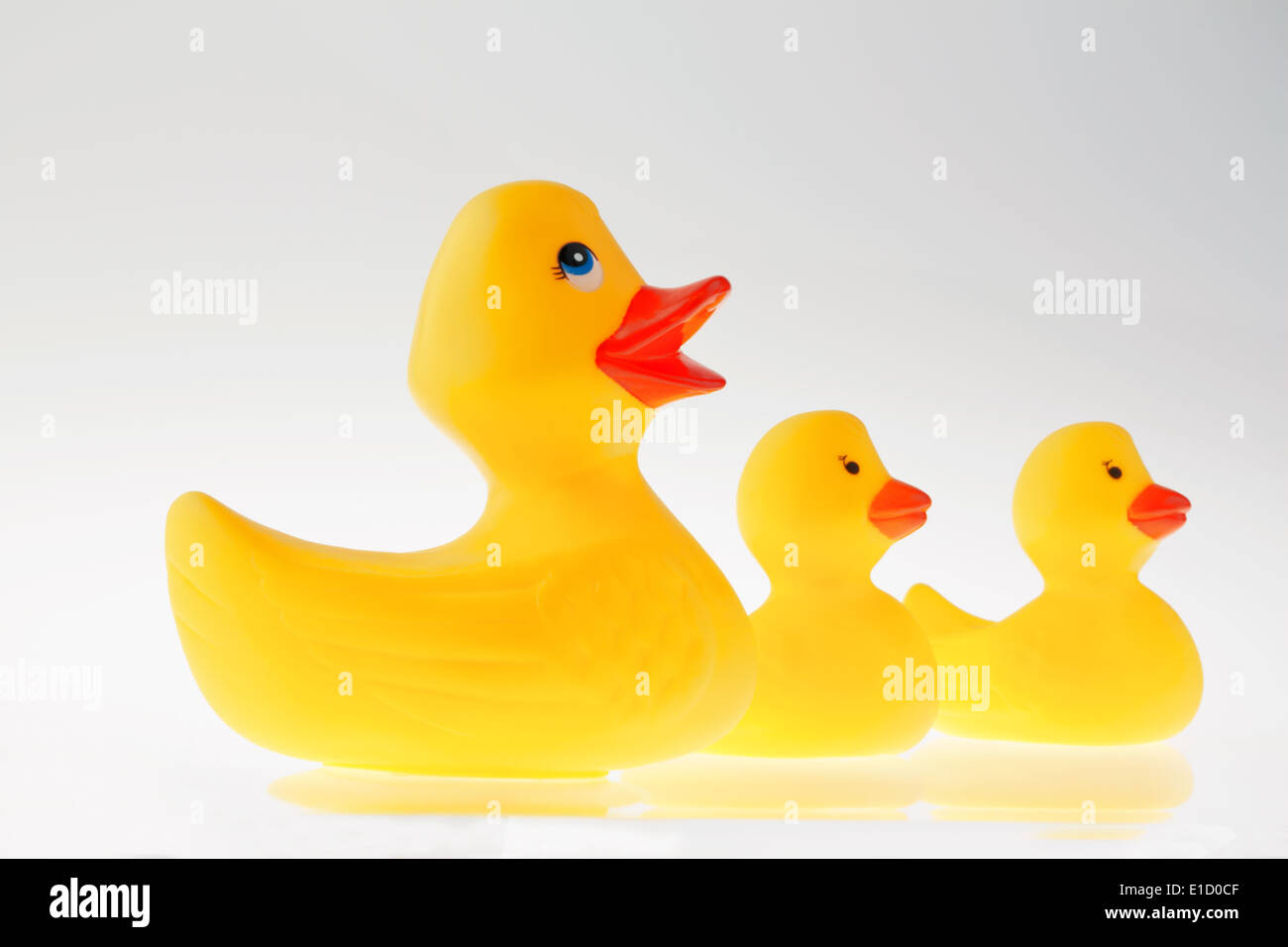 A yellow rubber duck on white background isolated Stock Photo - Alamy