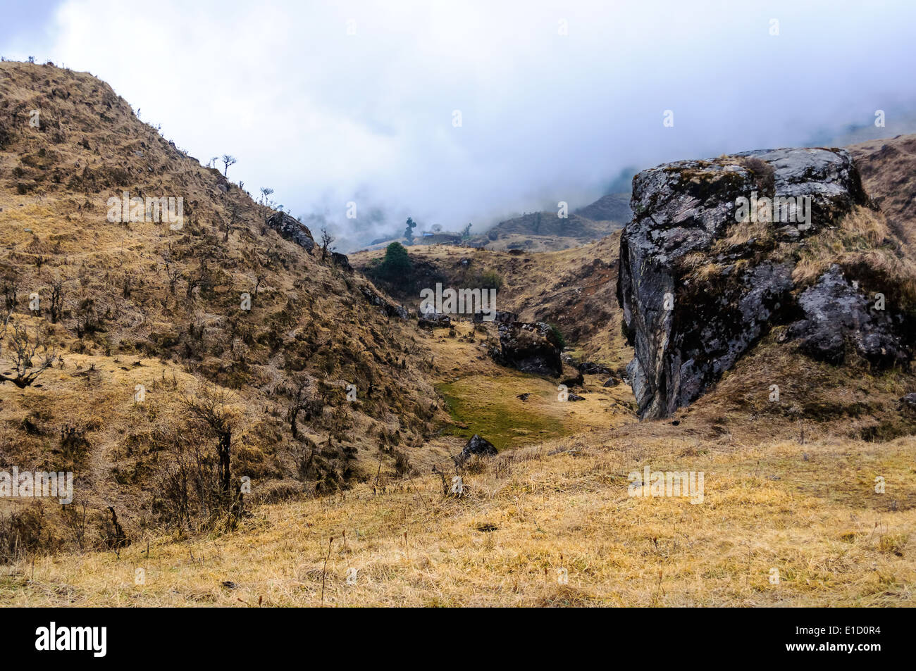 Trekking path through Himalayan mountains towards Sandakphu Stock Photo ...