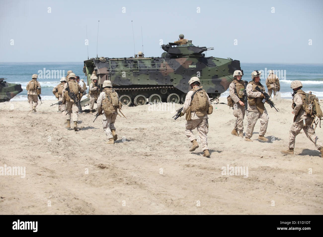 U.S. Marines with 1st Battalion, 7th Marine Regiment return to their amphibious assault vehicles on Camp Pendleton, Calif., Jun Stock Photo