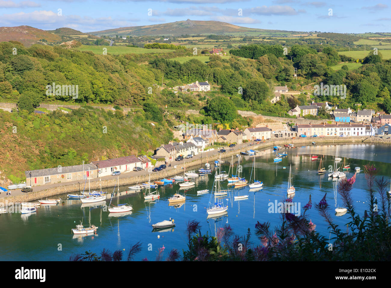 Lower Town Fishguard Pembrokeshire Wales Stock Photo 69743427 Alamy
