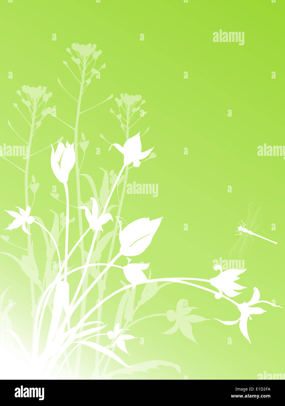 abstract green floral background with tulips and dragonfly Stock Photo ...