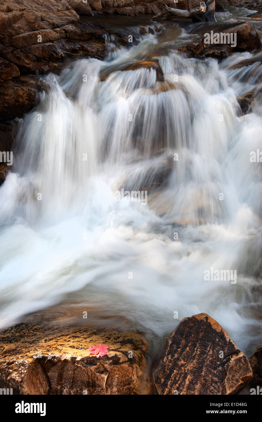 Upper Provo River Falls and water cascading over rocks, in the Uinta Mountains in Utah. Stock Photo