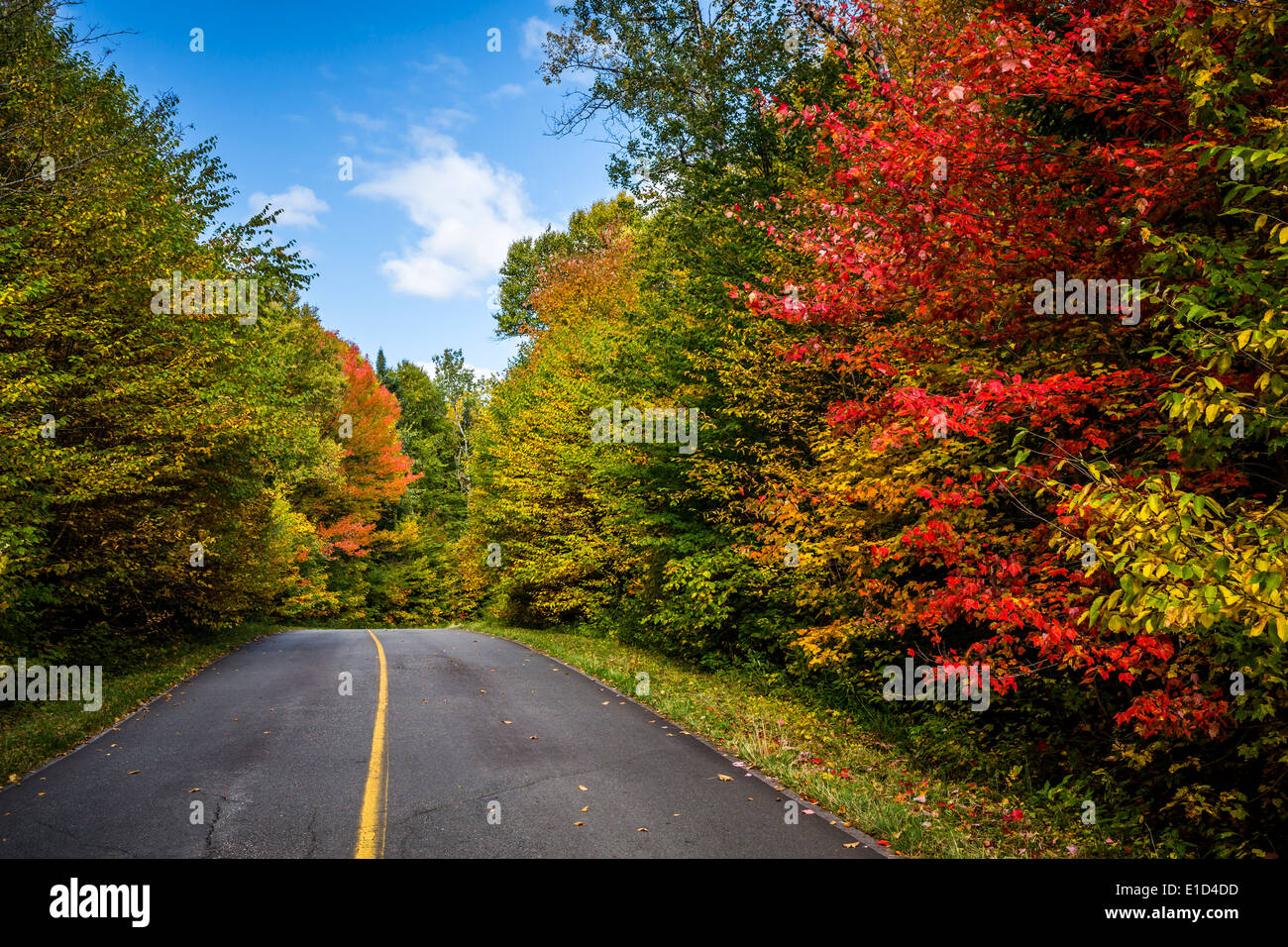A park roadway and brilliant fall foliage color in the mountains of Mont-Tremblant National Park, Quebec, Canada. Stock Photo