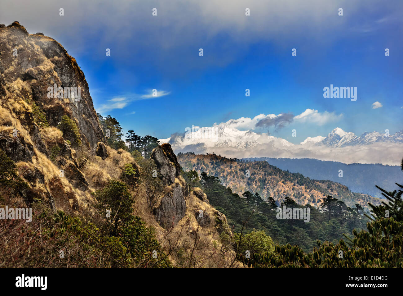 View of snowy peak Kanchenjunga from Trekking path through Himalayan mountains to Sandakphu Stock Photo