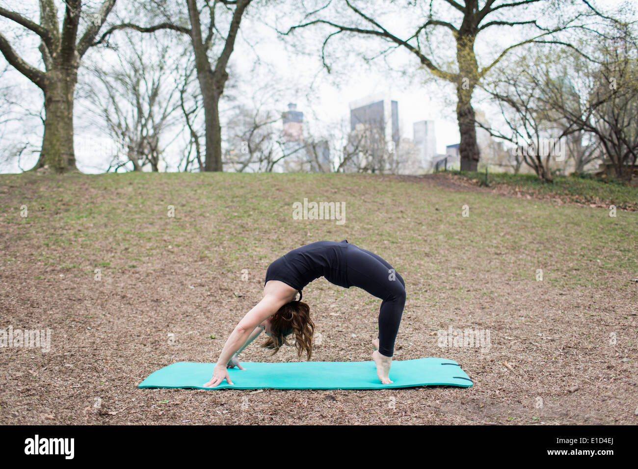 A young woman in Central Park, in a black leotard and leggings, doing yoga. Stock Photo