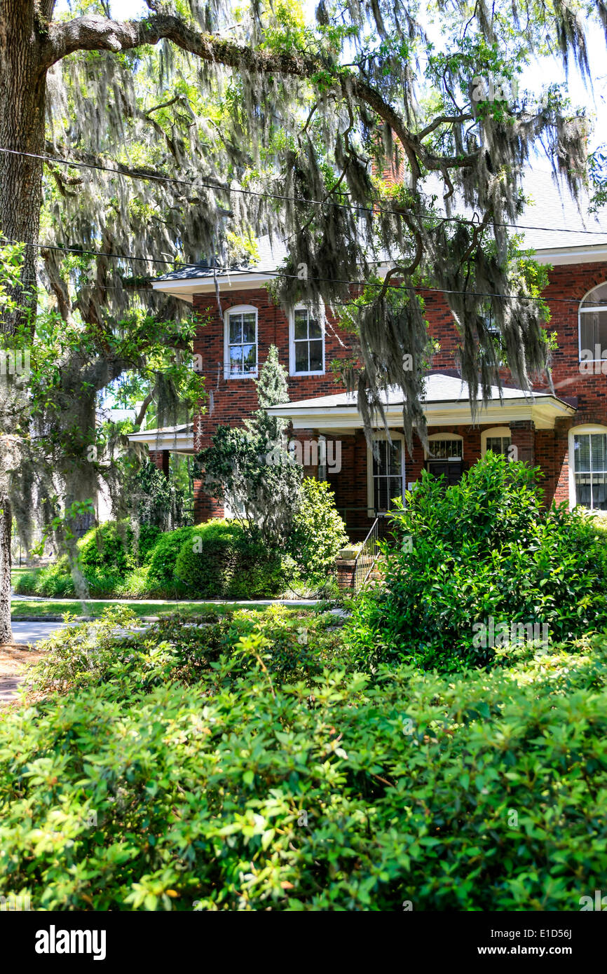 Tree covered street and house in Savannah GA Stock Photo Alamy