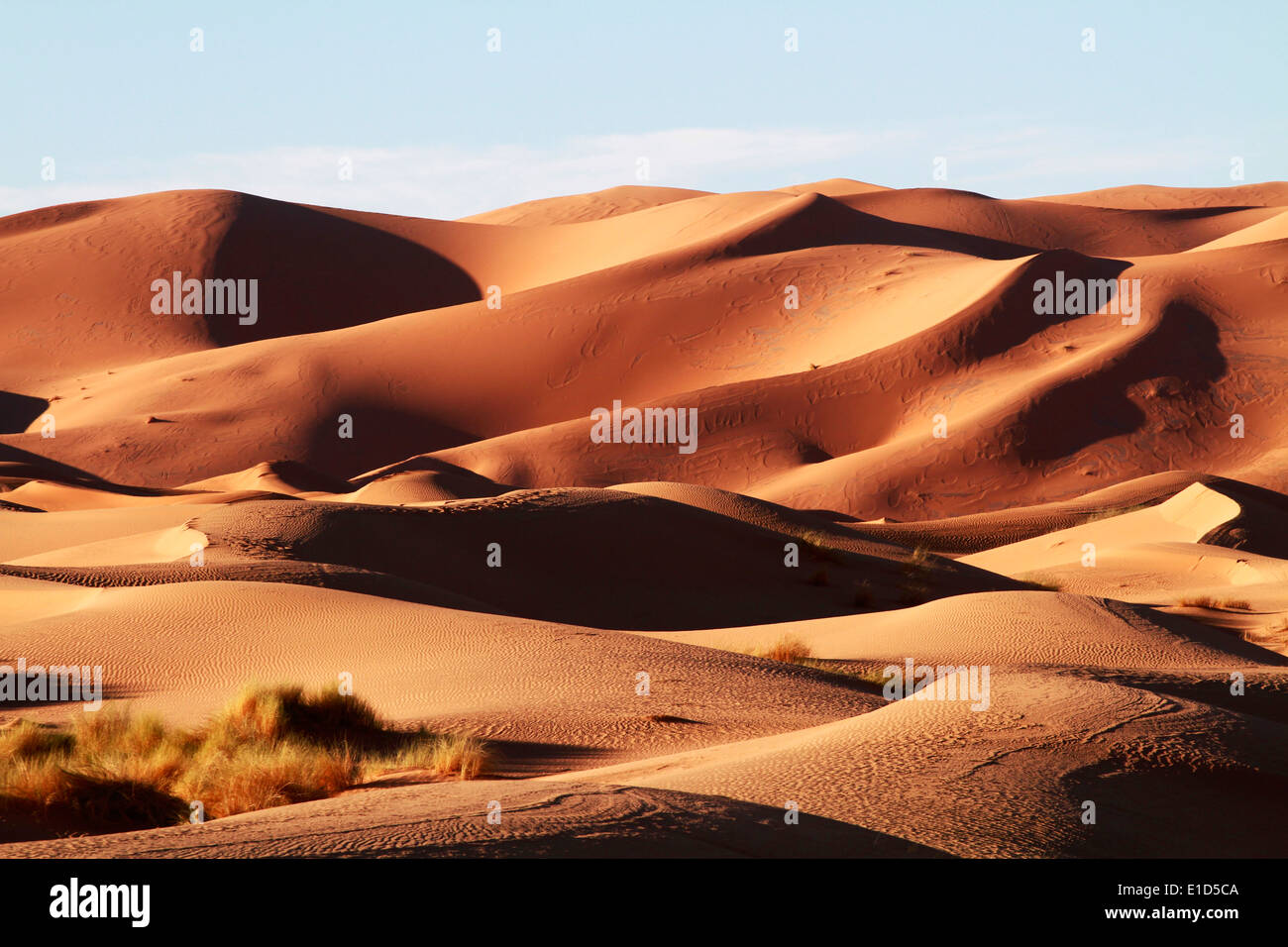 Erg Chebbi sand dunes in the Sahara desert near Merzouga, Morocco Stock Photo