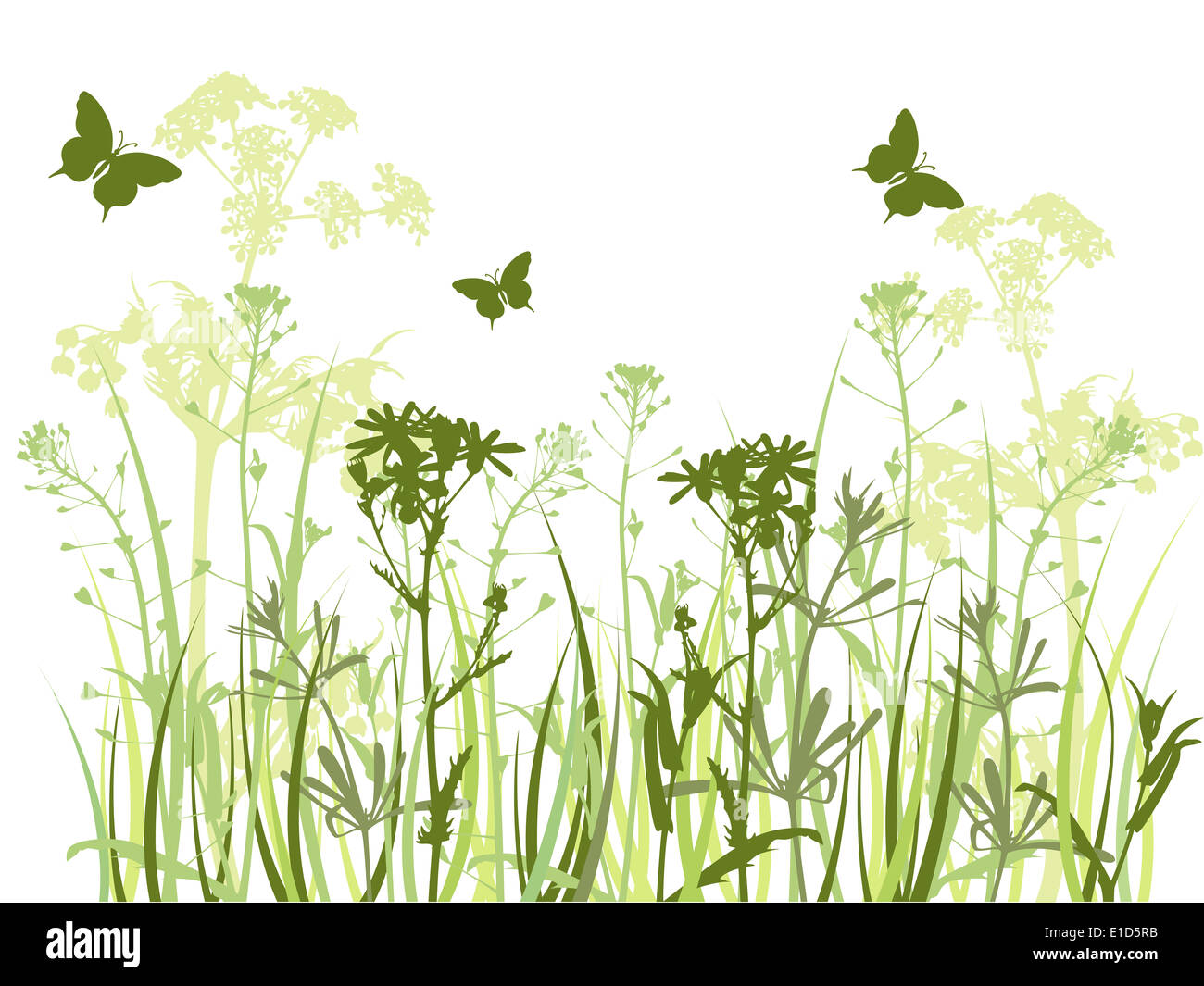 background with green grass, chamomile flowers and butterfly Stock ...
