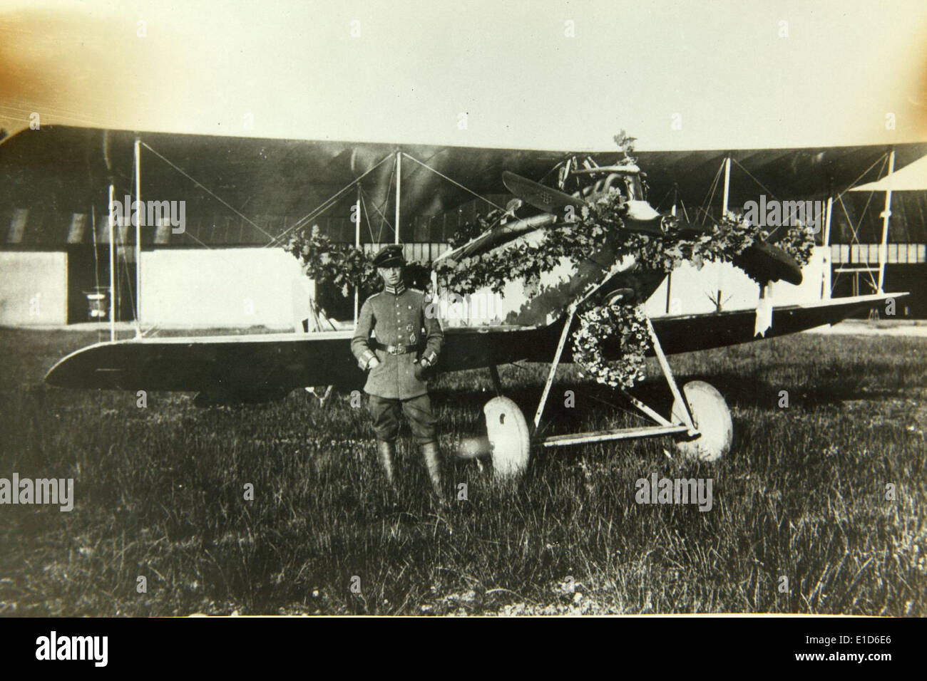 D ii halberstadt dii hires stock photography and images Alamy