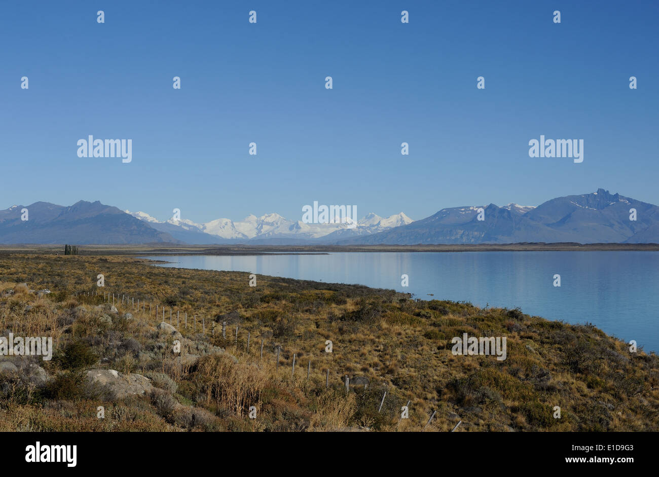 Glaciers from the  Southern Patagonian Ice Field Patagonia  flow into into Lake Argentina.  Los Glaciares National Park, Stock Photo