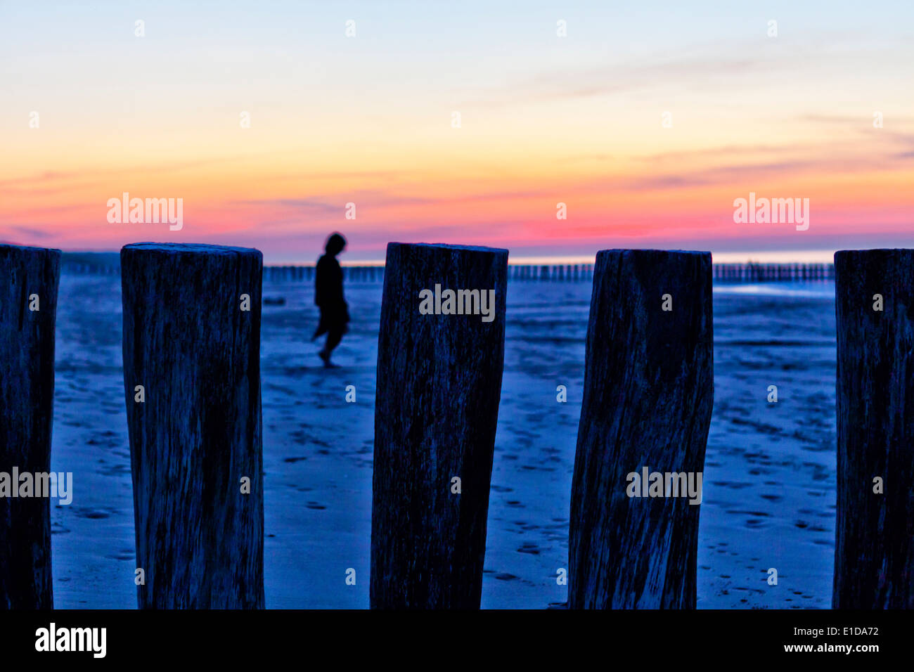 Alone on the beach during the sunset Stock Photo - Alamy