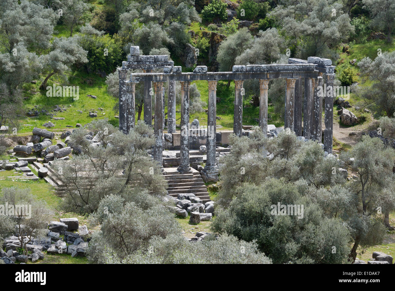 Temple to Zeus Lepsynus, Euromos, Turkey 140414 60547 Stock Photo
