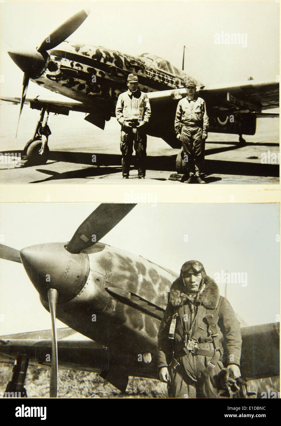 フライングスタイロ社 Kawasaki Ki-61-II Hien Kawasaki Ki-61-II Hien