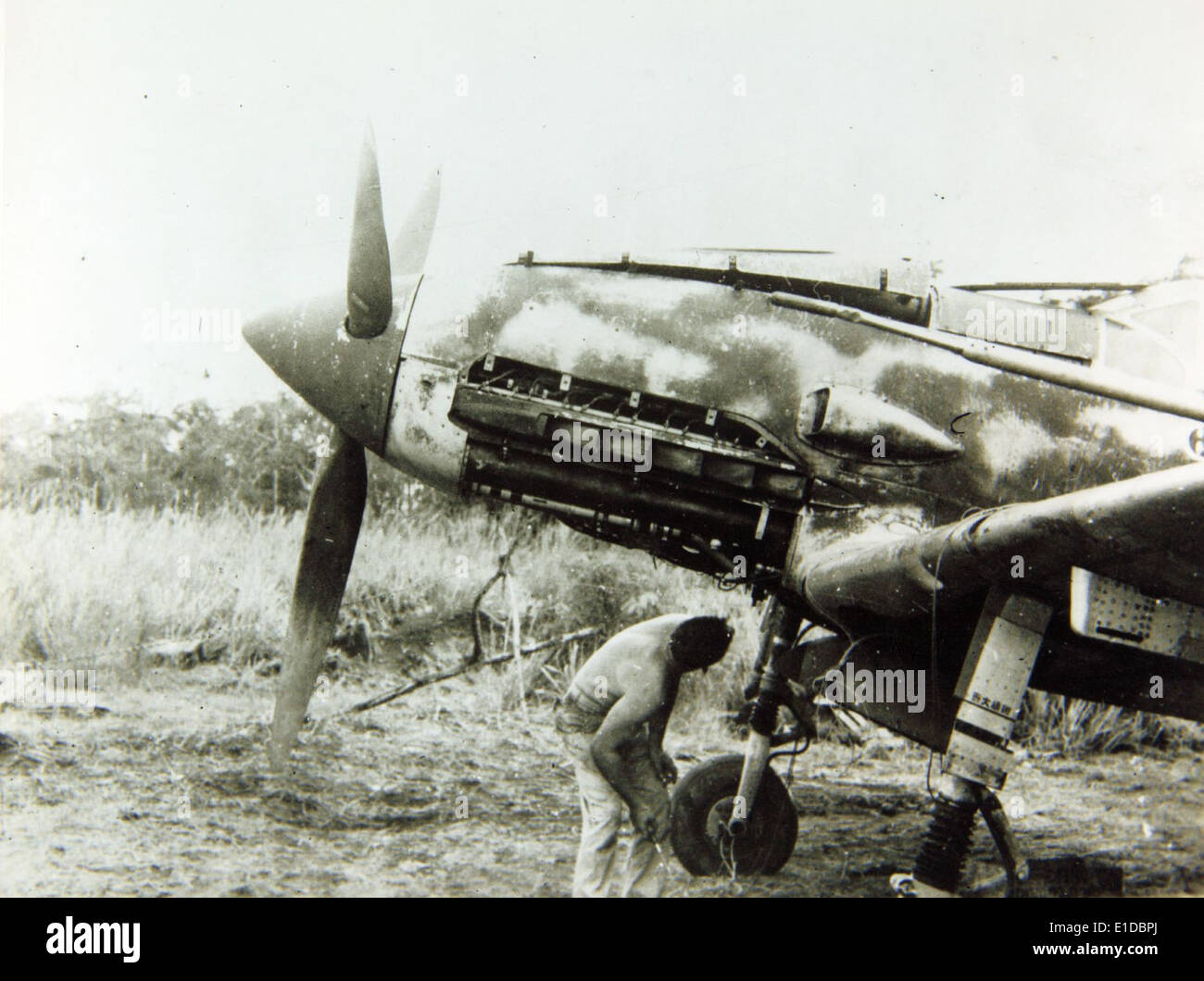 Kawasaki, Ki-61, Hien (Tony Stock Photo - Alamy