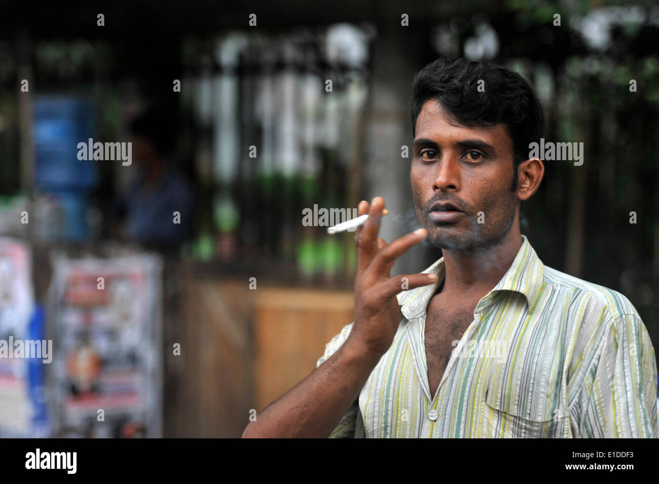 bangladesh tobacco BANGLADESH-MAY 31: A tobacco addicts smoking in World No Tobacco Day.  Tobacco use is a widespread phenomenon in Bangladesh. According to the  World Health Organisation (WHO) report on the Global Tobacco Epidemic