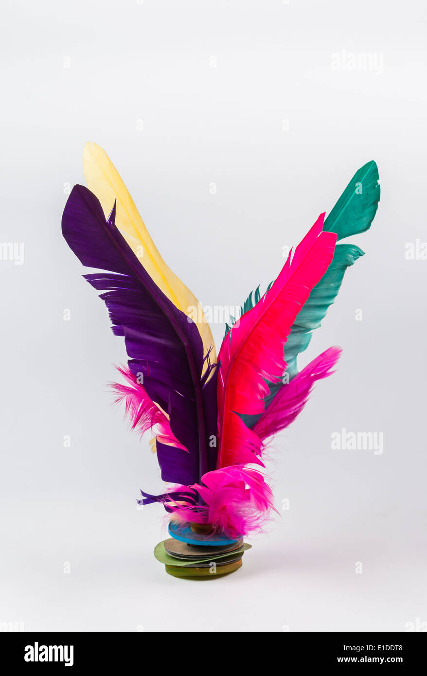 Colorful wing feathers hi-res stock photography and images - Alamy