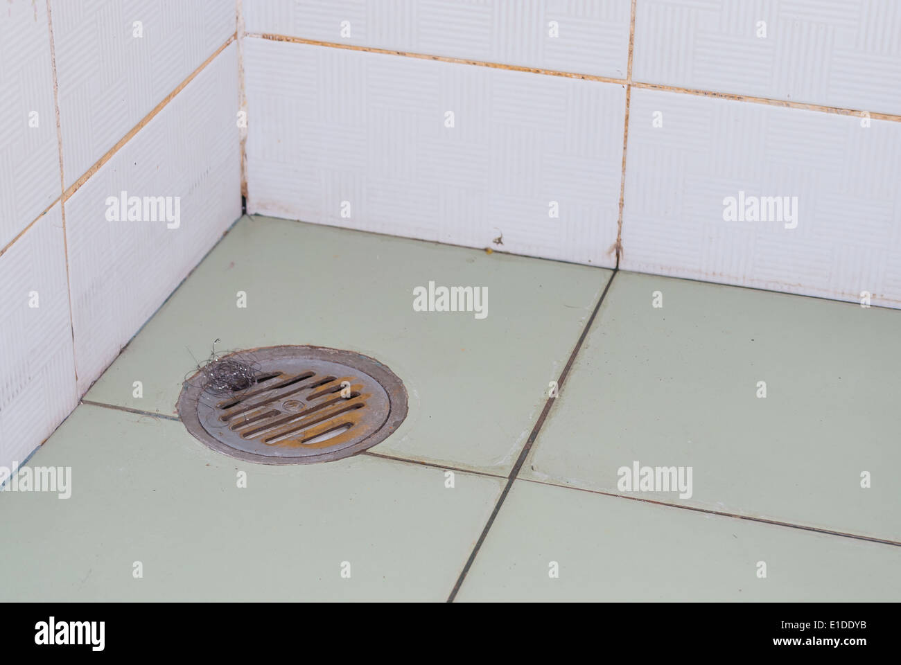 Rusty Shower Drain in Toilet Stock Photo Alamy