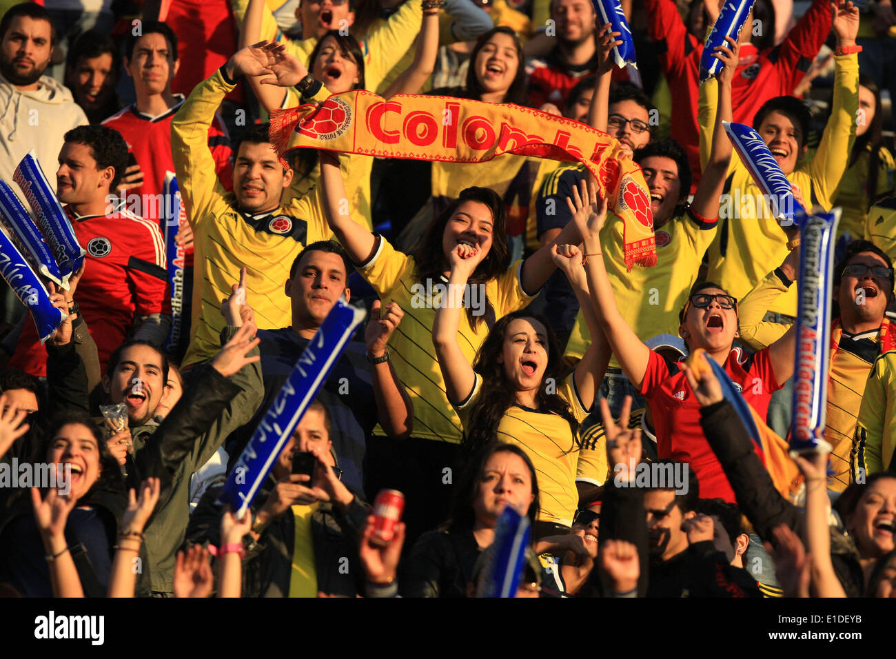 Buenos Aires, Argentina. 31st May, 2014. Fans of Colombia's national soccer team cheer during a friendly soccer match against Senegal in Buenos Aires, capital of Argentina, on May 31, 2014. © Martin Zabala/Xinhua/Alamy Live News Stock Photo