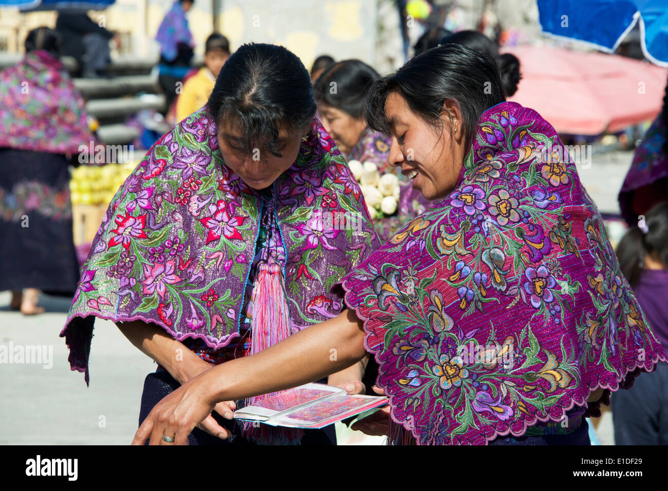 Two Tzotzil Indian women inspecting textile brochure Sunday market San