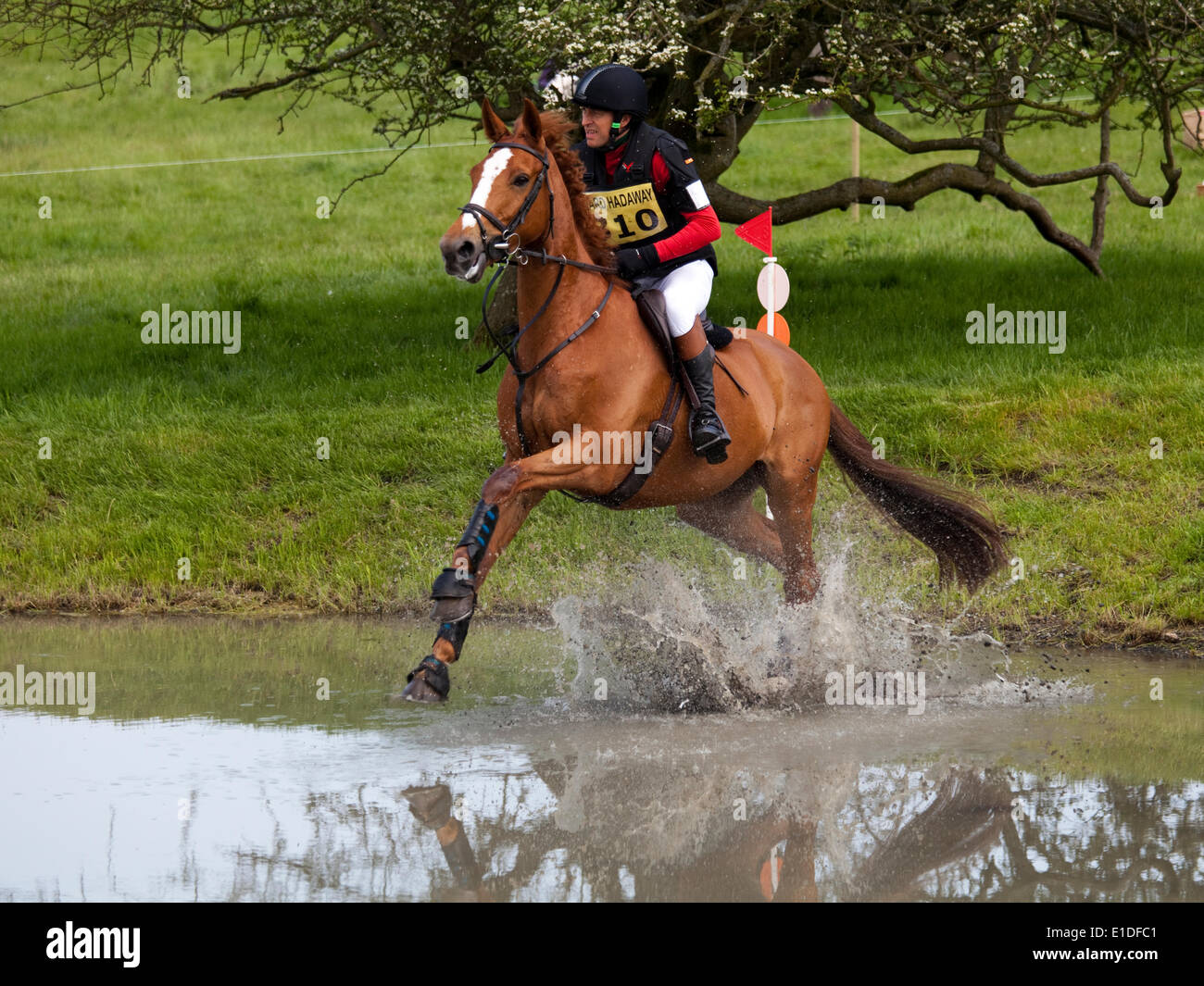 Belsay, England - May 31, 2014: A competitor in the cross country section takes the water splash during the 2014 Belsay Horse Trials, held for the second year running in the grounds of Belsay Castle in Northumberland, England. Belsay Castle is managed by English Heritage and is open to the public all year. Stock Photo