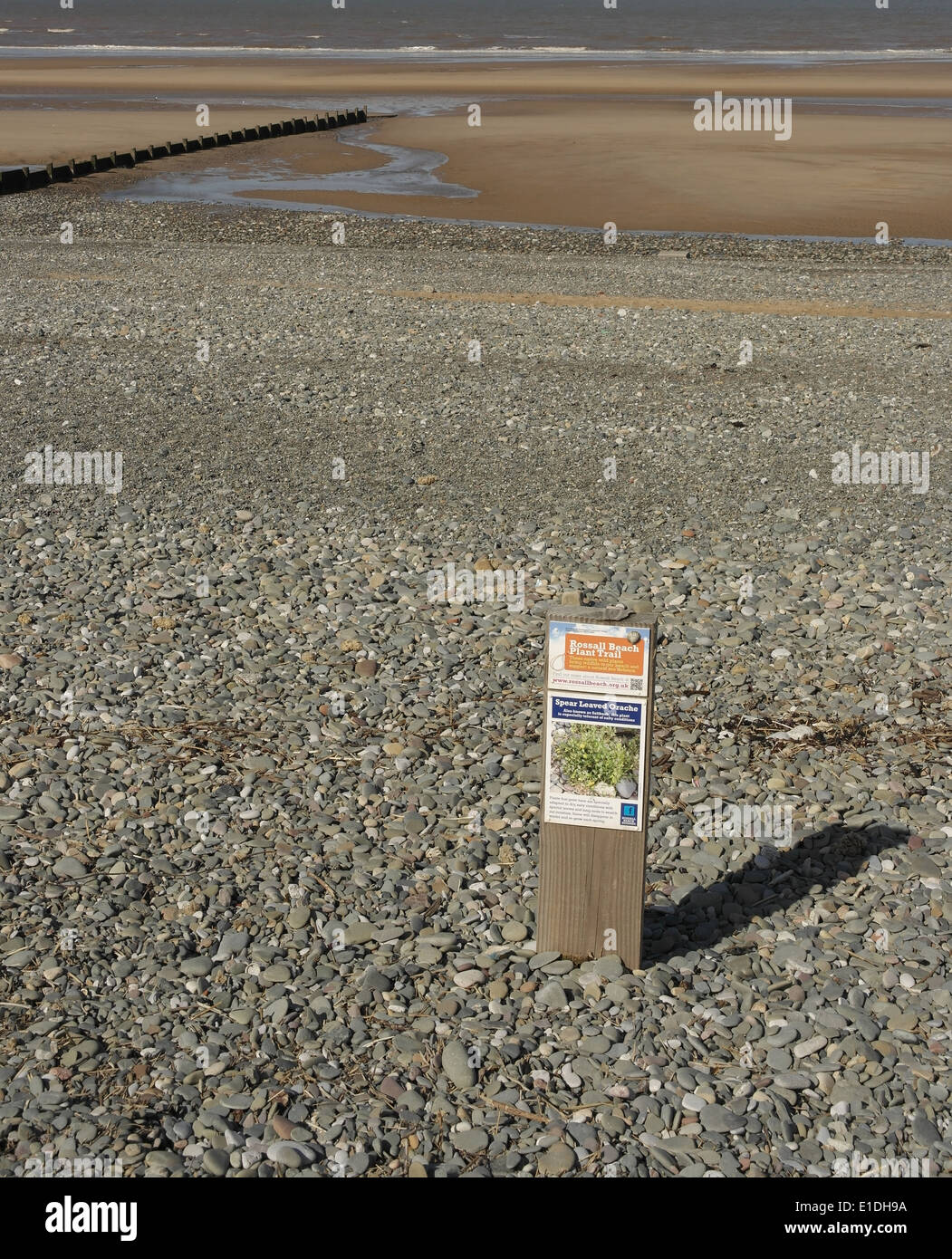 Portrait shot, looking out to sea, 'Saltbush' information panel standing shingle pebbles, Rossall Beach Trail, Fylde Coast, UK Stock Photo
