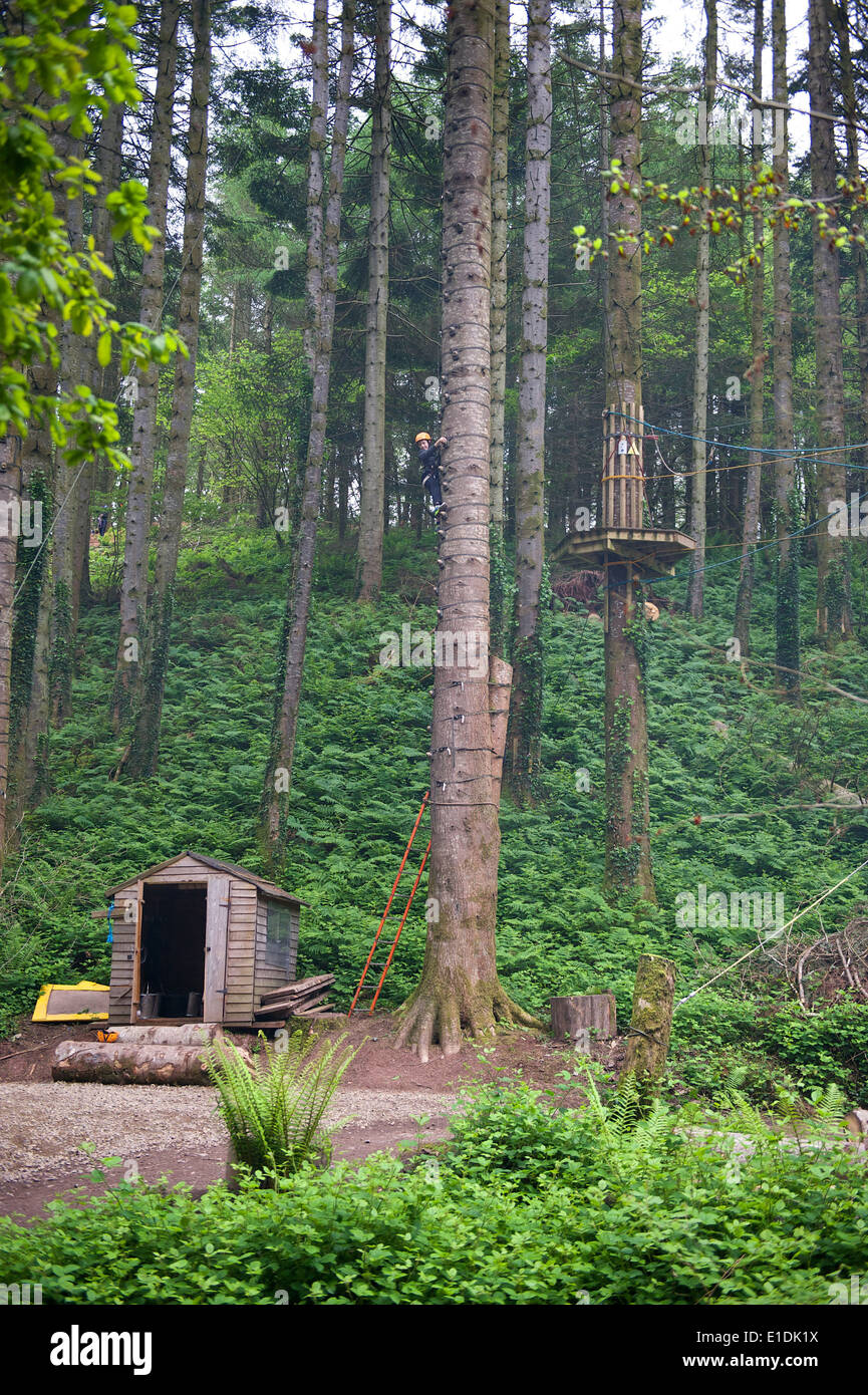 zip wire line outdoor activity at bluestone village in pembrokeshire wales Stock Photo