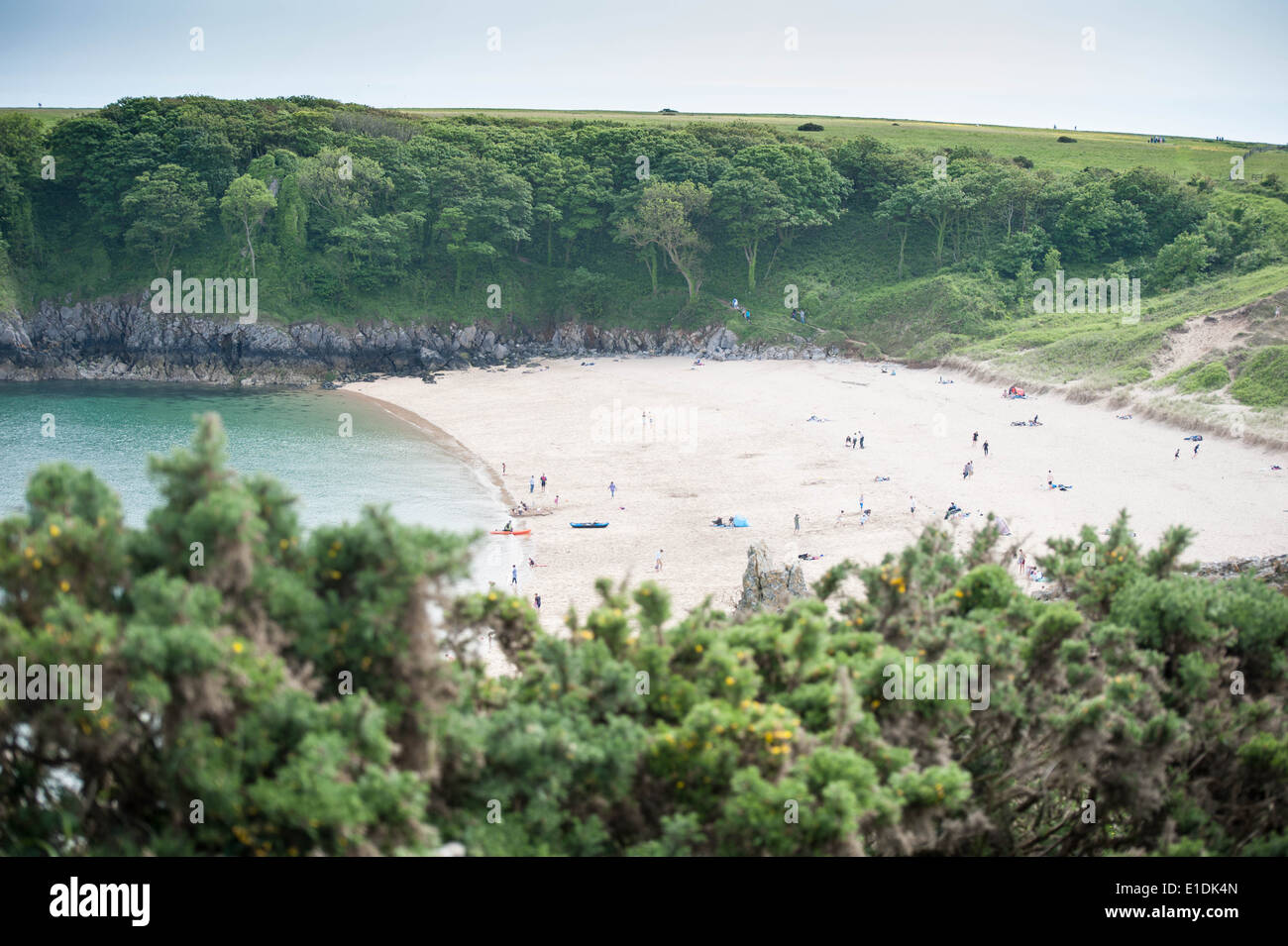 Barafundle beach tourists hi-res stock photography and images - Alamy