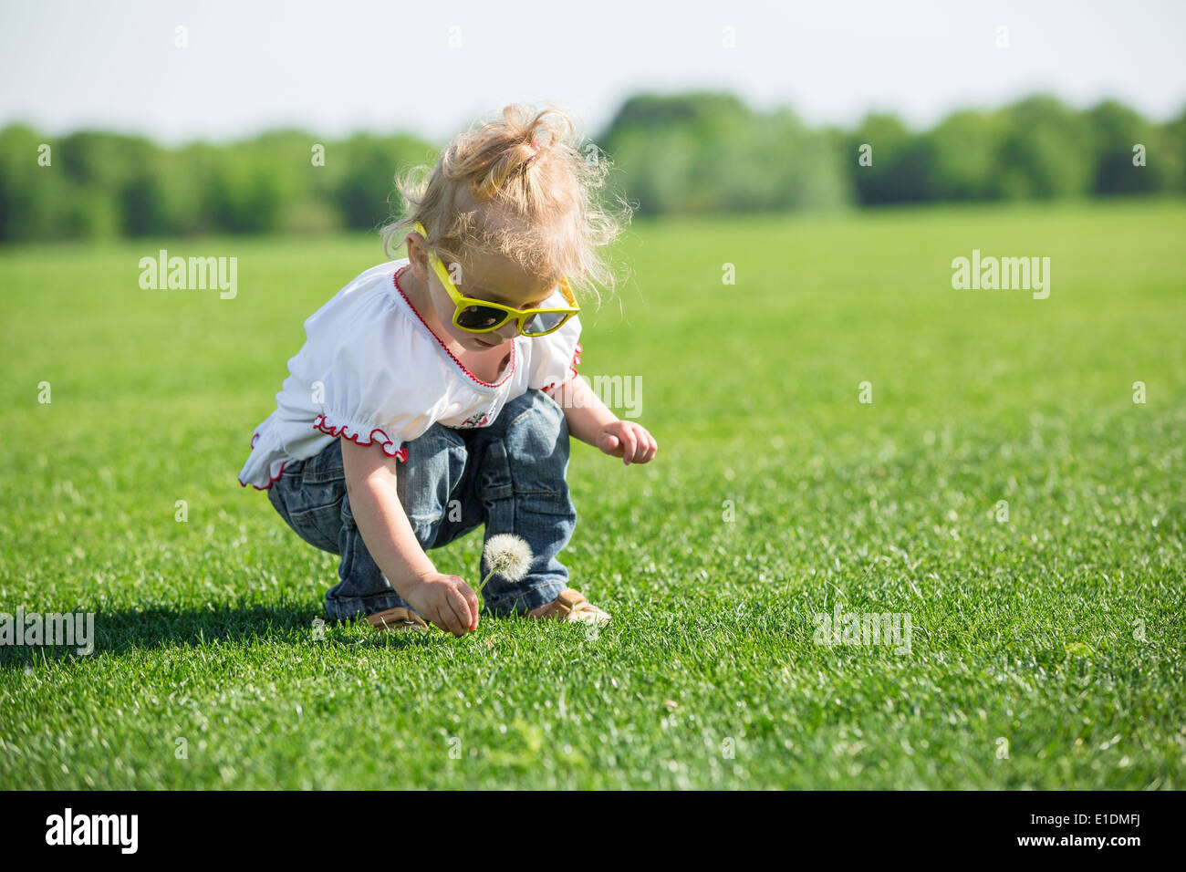 Cute little girl sitting on a fresh green grass in a field and playing ...