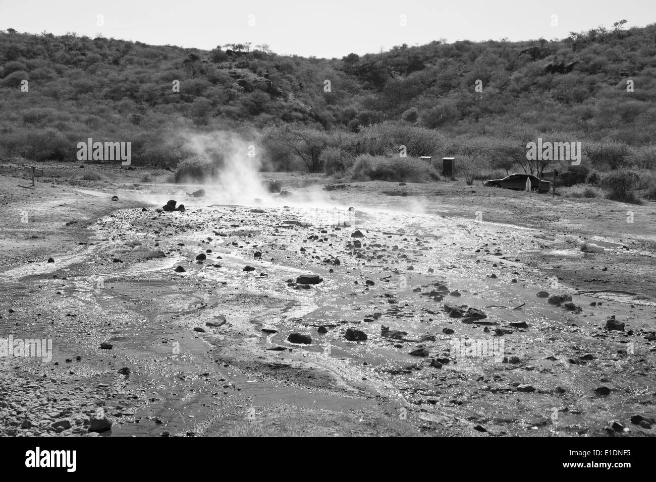 Steaming water of hot springs at Lake Bogoria in Kenya against the light. Stock Photo