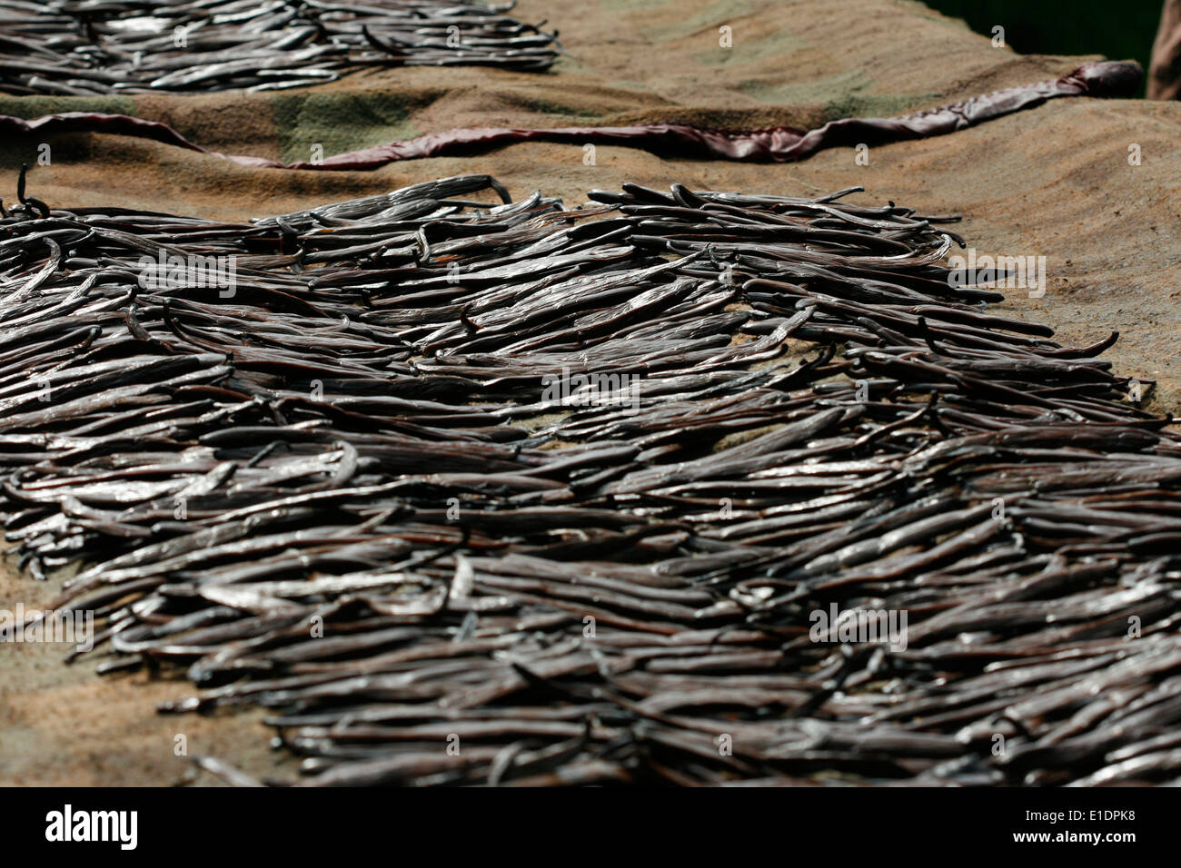Vanilla farming hires stock photography and images Alamy
