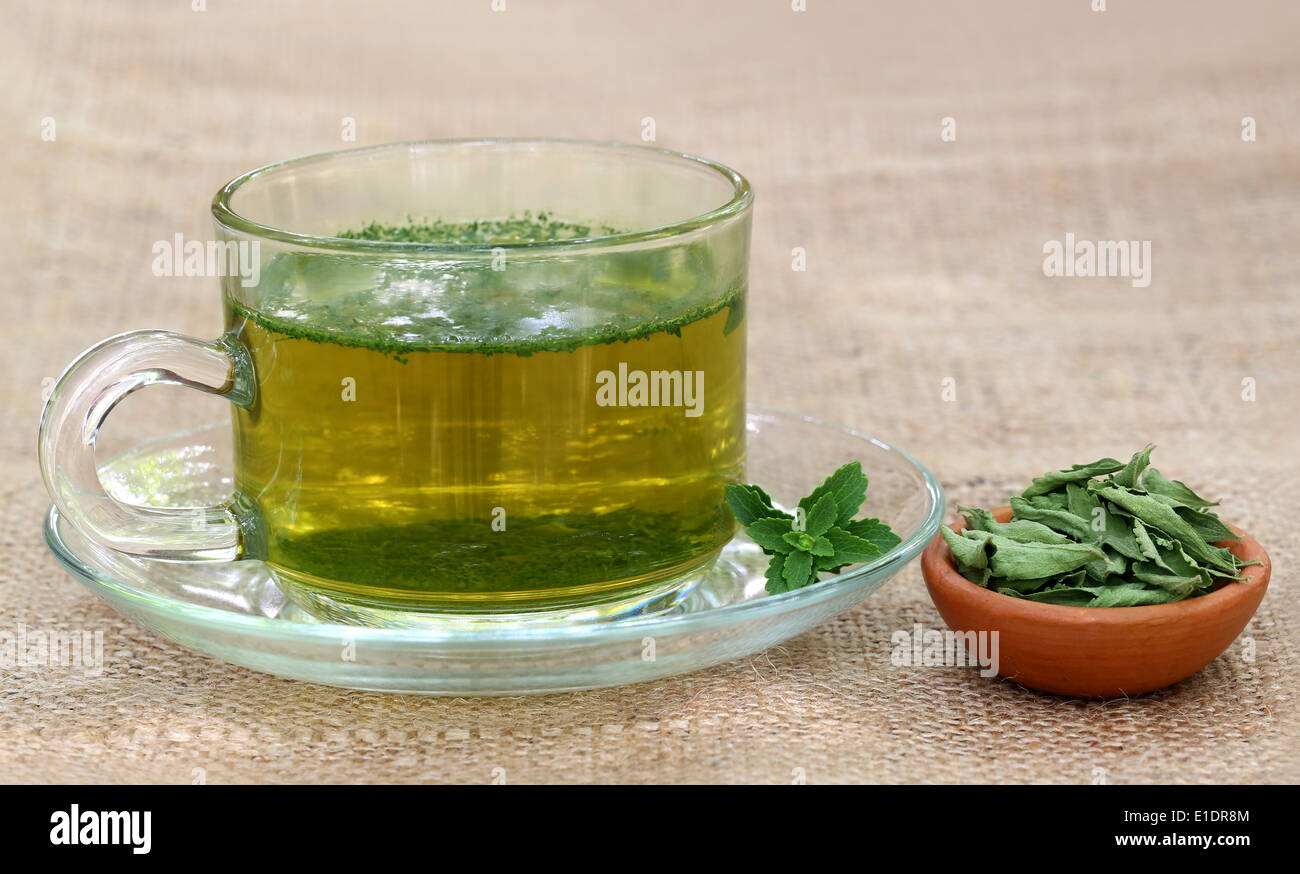 Tea with Green and dired Stevia leaves Stock Photo Alamy