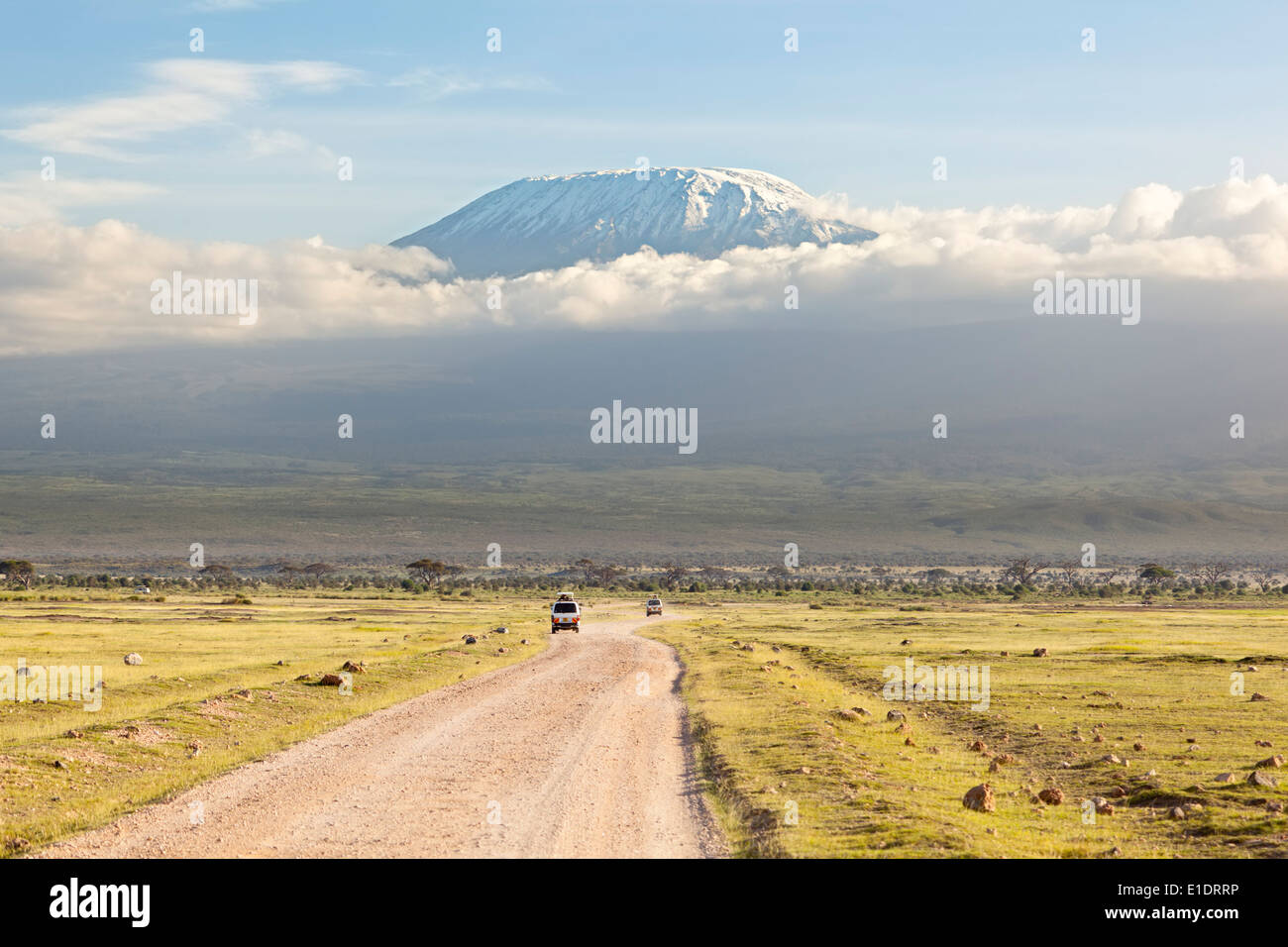 Kilimanjaro with snow cap seen from Amboseli National Park in Kenya with a road in the foreground. Stock Photo