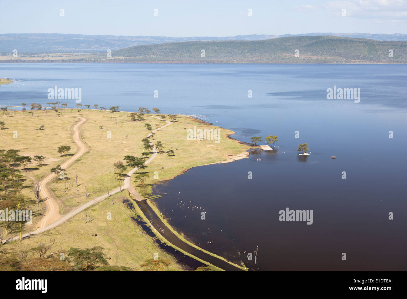 Lake in Nakuru National Park seen from an observation point in Kenya. Stock Photo