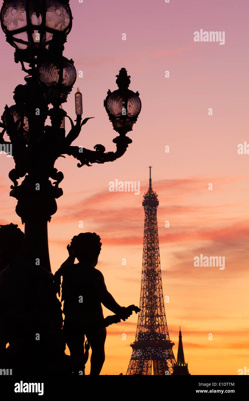 France, Paris, Alexandre III bridge and Eiffel Tower at night Stock Photo