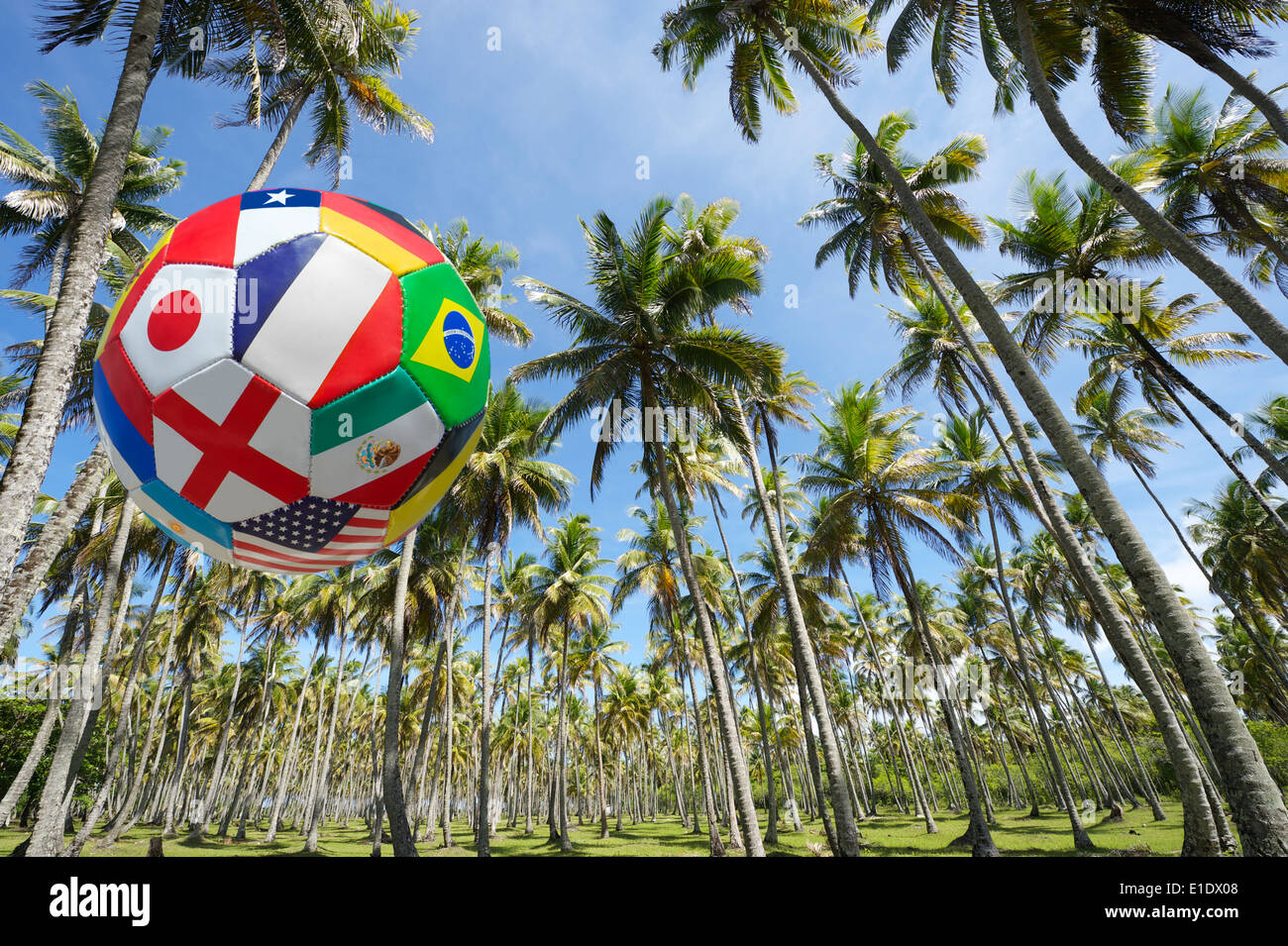 International flag football soccer ball flying in bright Brazilian blue sky above grove of palm trees Stock Photo